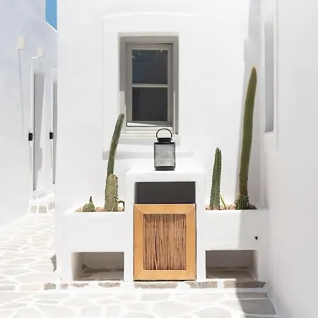 Swell S11 New In Lägenhet