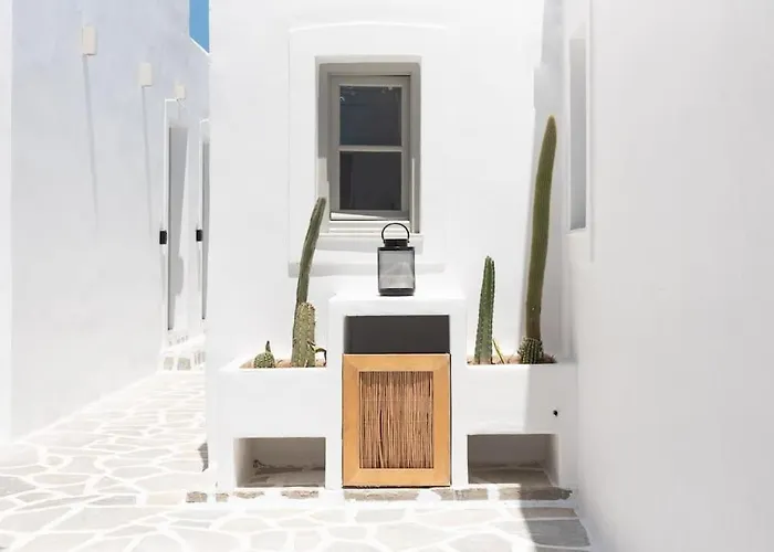 Swell S11 New In Apartment