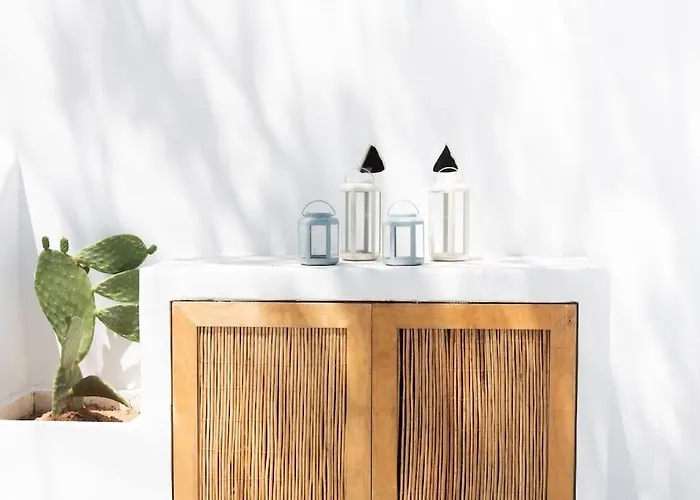 Apartment Swell S11 New In