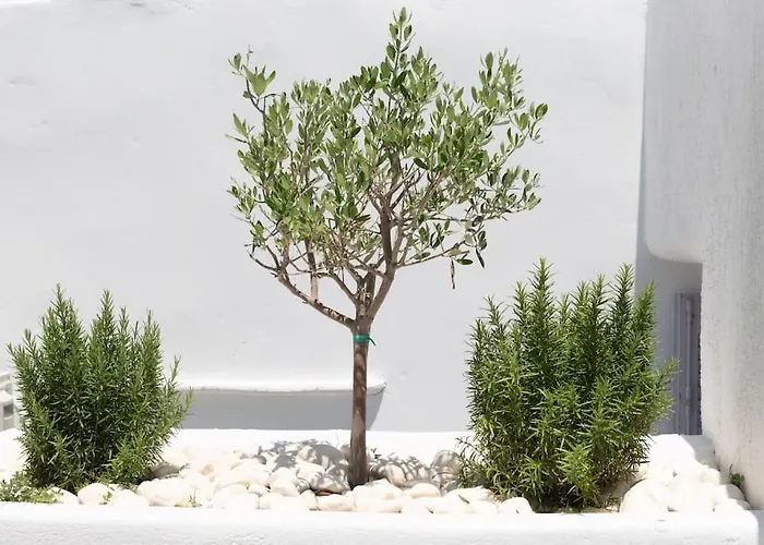 Swell S11 New In Apartment *